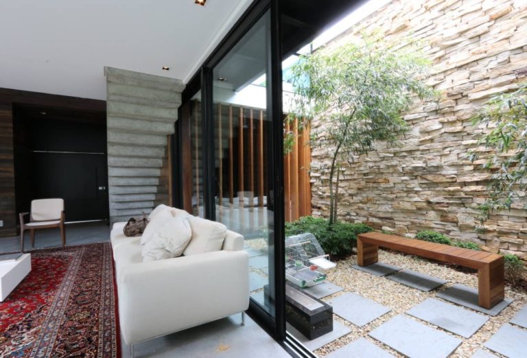 ️ Patios Internos 【¡Esto No lo Sabías!】